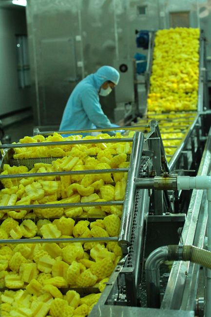 食品加工廠設備——水果切丁機